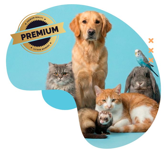 Suscripción_premium_elige_tu_plan