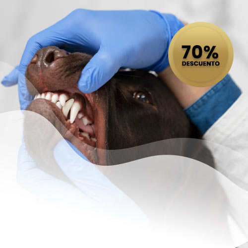 Beneficio destartraje