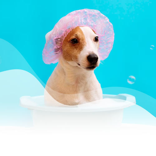 Beneficio baño y peluquería