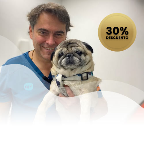 Beneficio consulta presencial