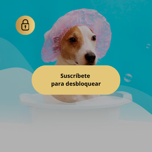 Baño y peluquería