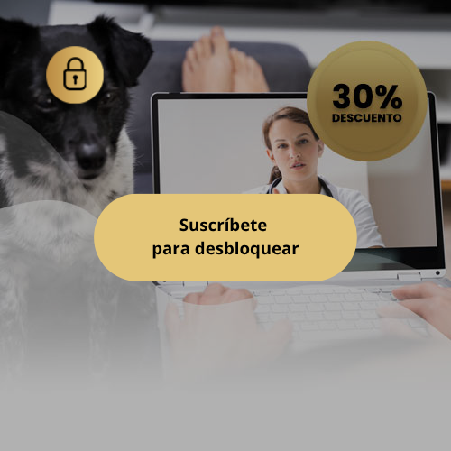 Video consultas